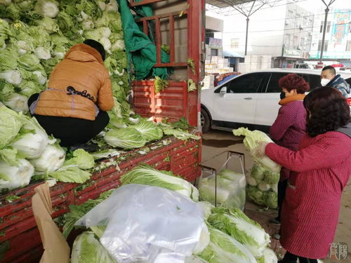 记者调查 咸阳蔬菜批发供应平稳有序 菜农建议为本地蔬菜供给开辟绿色通道