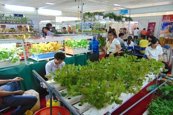 2018年越南农产品周将于今年6月下旬在法国翰吉斯国际批发市场举行